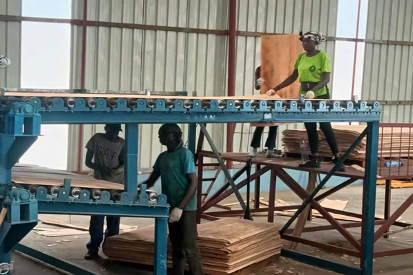 雙層單板烘干機(jī) 雙層單板烘干機(jī)